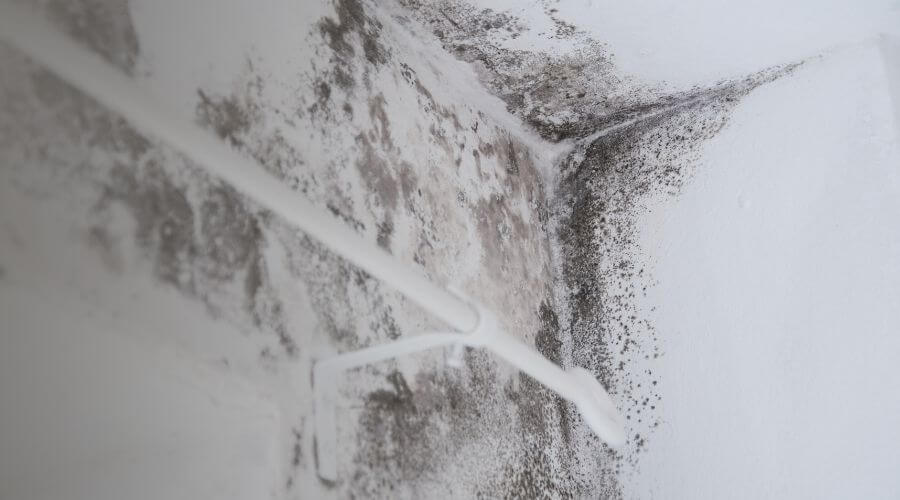 Why Choose Experienced Water Damage Restoration LLC